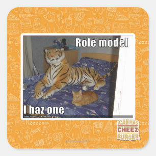 Role Model, I haz one Square Sticker