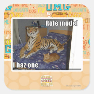 Role Model, I haz one Square Sticker