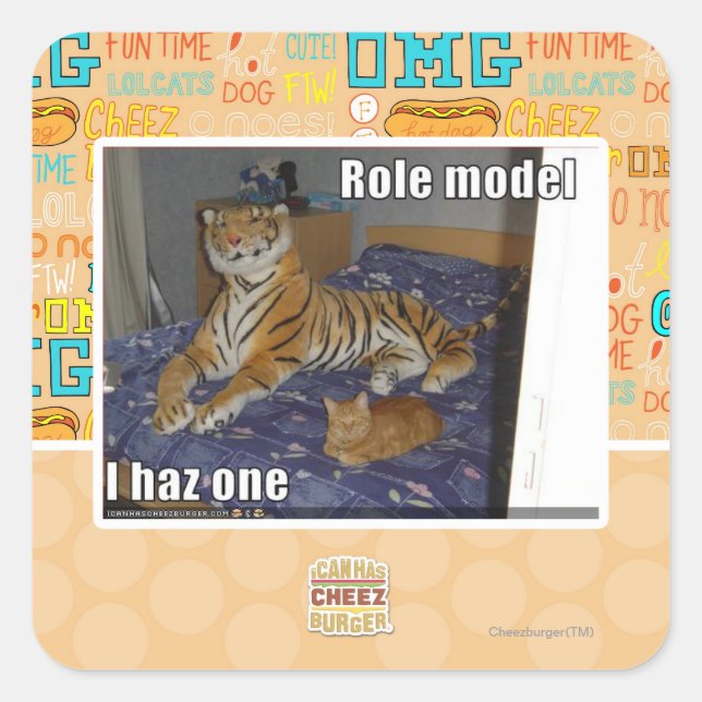 Role Model, I haz one Square Sticker (Front)
