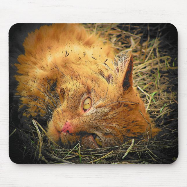 Roll in the Hay Mouse Mat (Front)