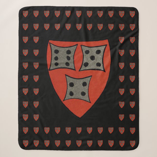 Roll the dice, take your chances sherpa blanket (Front)