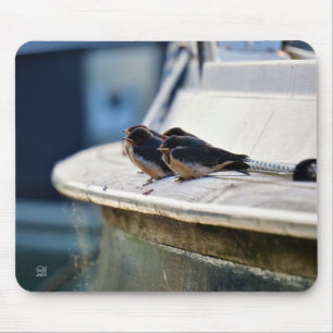 Rolled birds on a line in the port mouse mat