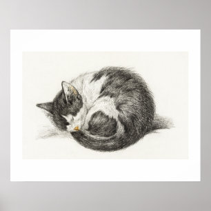 Rolled up lying sleeping cat (1825) by Jean Bernar Poster