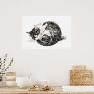 Rolled up lying sleeping cat (1825) poster