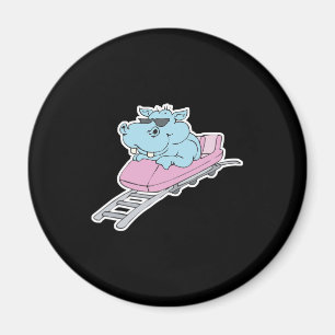roller coaster hippo magnet