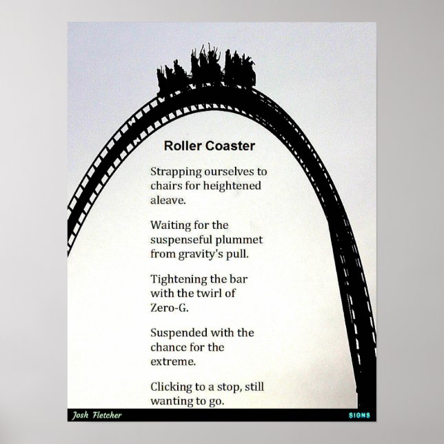 Roller Coaster Poster (Front)