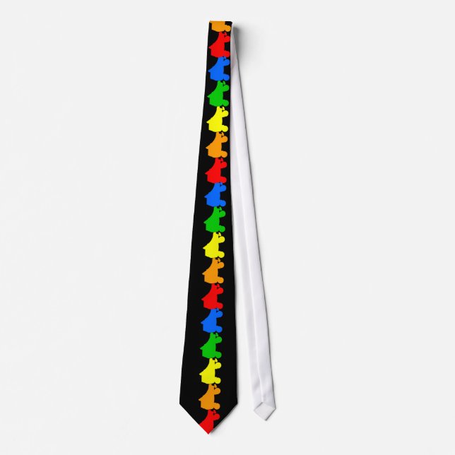 roller skate rainbow tie (Front)