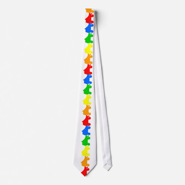 roller skate rainbow tie (Front)