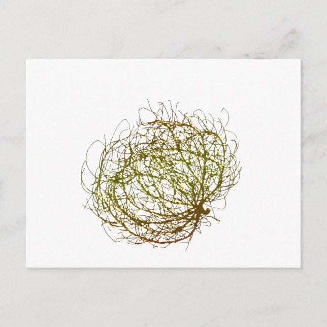 Rolling Golden Tumbleweed Plant Art Postcard (Front)