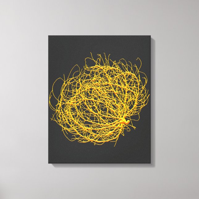 Rolling Golden Tumbleweed Plant Original Art Canvas Print (Front)