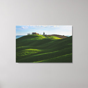 Rolling Hill Near Asciano, Tuscany Canvas Print