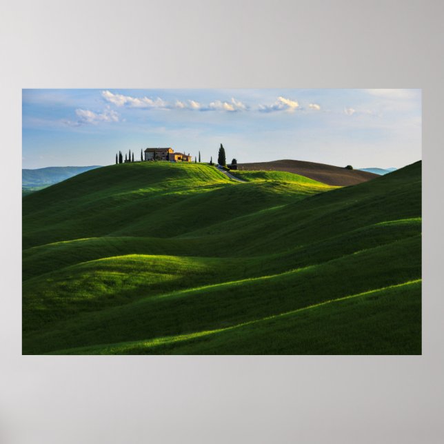 Rolling Hill Near Asciano, Tuscany Poster (Front)
