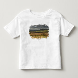 Rolling Hills And Mountains Under A Cloudy Sky Toddler T-Shirt