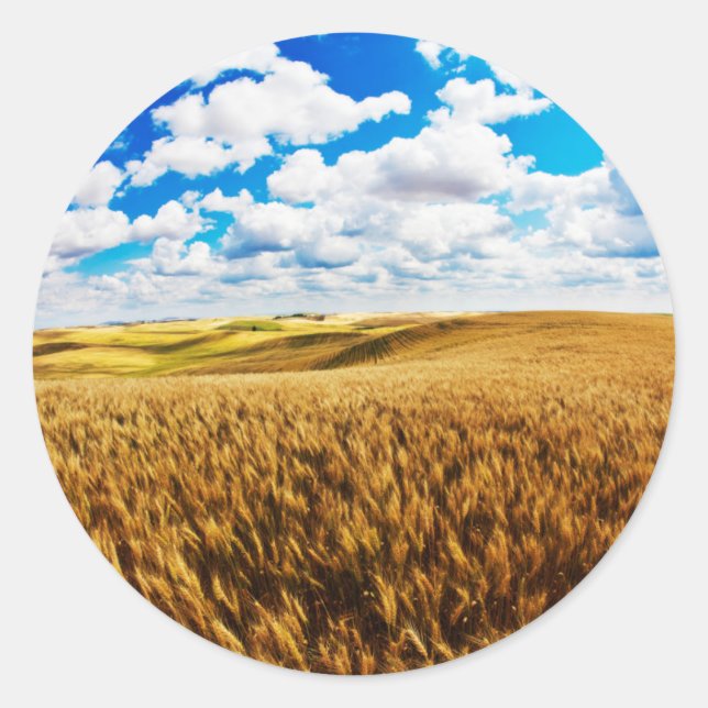 Rolling hills of ripe wheat classic round sticker (Front)
