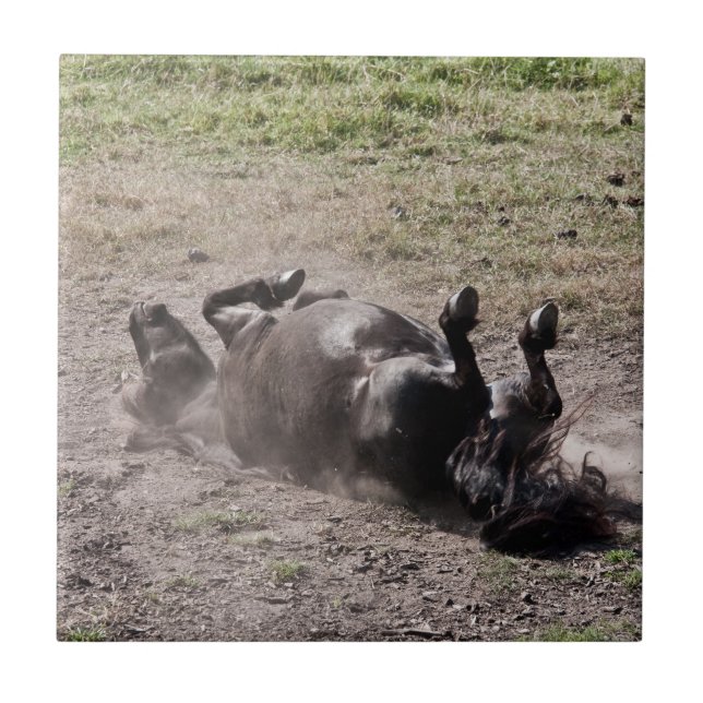Rolling horse tile (Front)
