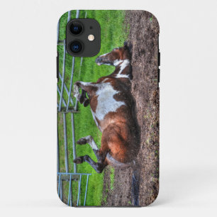 Rolling Paint Horse Equine Photo for Horse-lovers iPhone 11 Case