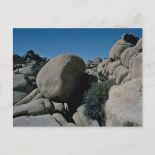 Rolling Stones Postcard