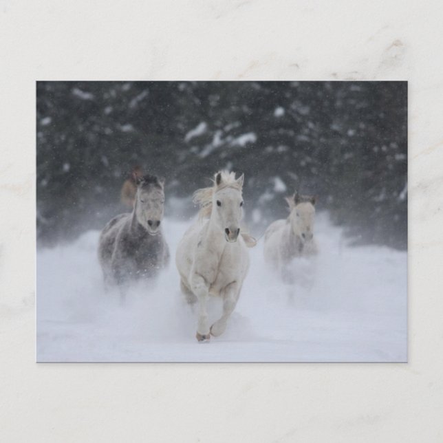 Rolling Thunder Postcard (Front)