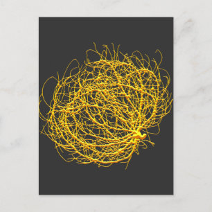 RollinGolden Tumbleweed Plant Original Art Postcard