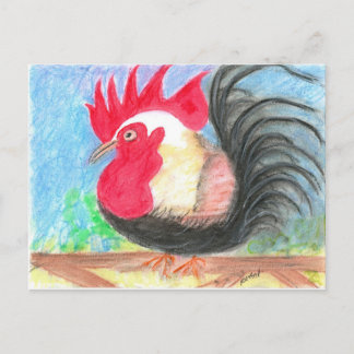 rollo rooster postcard