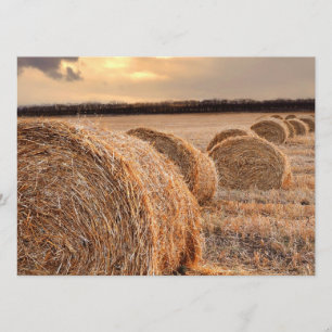 Rolls of Hay Invitation