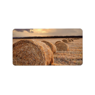 Rolls of Hay Label