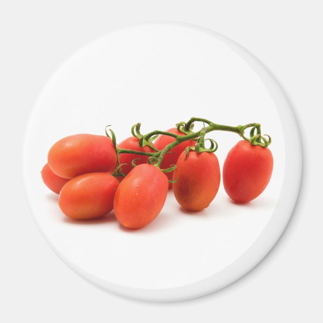 Roma Tomato Magnet (Front)