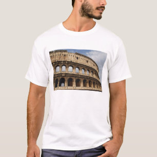 Roman Art. The Colosseum or Flavian 2 T-Shirt