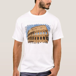 Roman Art. The Colosseum or Flavian 3 T-Shirt