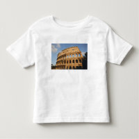 Roman Art. The Colosseum or Flavian 3