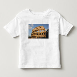 Roman Art. The Colosseum or Flavian 3 Toddler T-Shirt