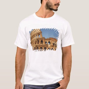 Roman Art. The Colosseum or Flavian 4 T-Shirt