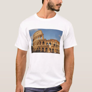 Roman Art. The Colosseum or Flavian 4 T-Shirt