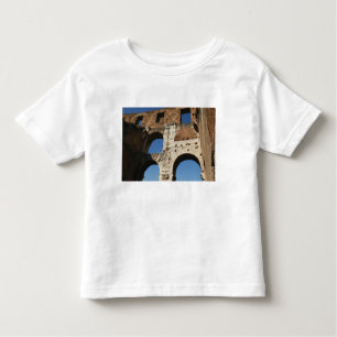 Roman Art. The Colosseum or Flavian 5 Toddler T-Shirt
