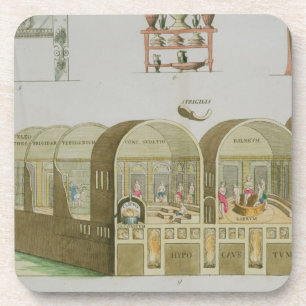Roman Baths, plate from 'The History of the Nation Coaster