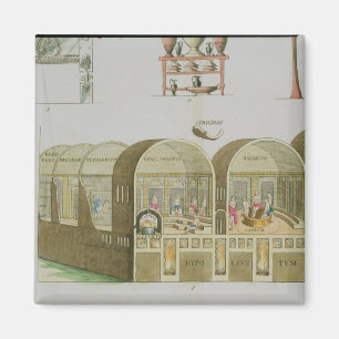 Roman Baths, plate from 'The History of the Nation Magnet