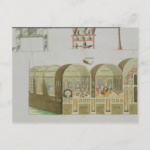 Roman Baths, plate from 'The History of the Nation Postcard