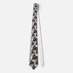 Roman Coliseum Tie