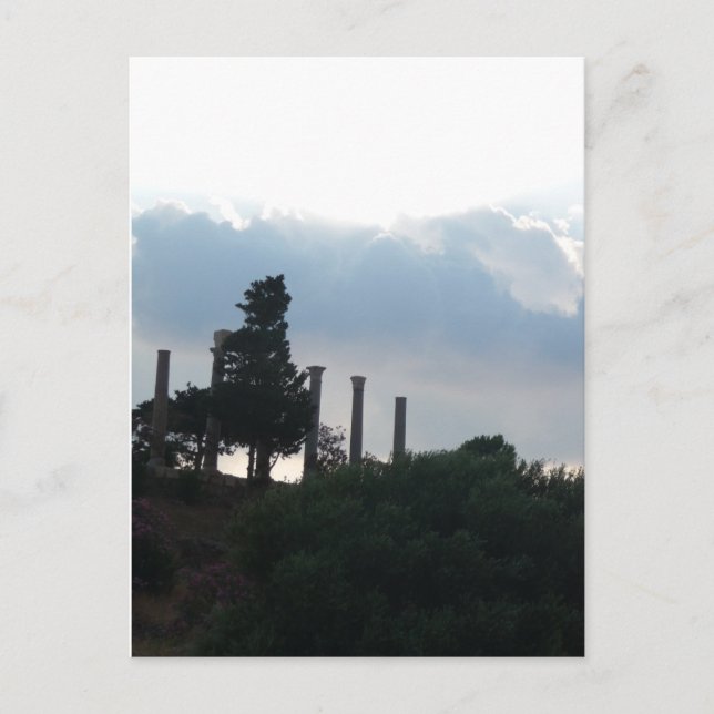 Roman Columns in Byblos Postcard (Front)
