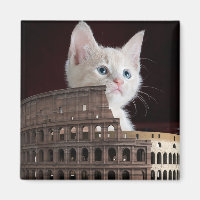 Roman felines