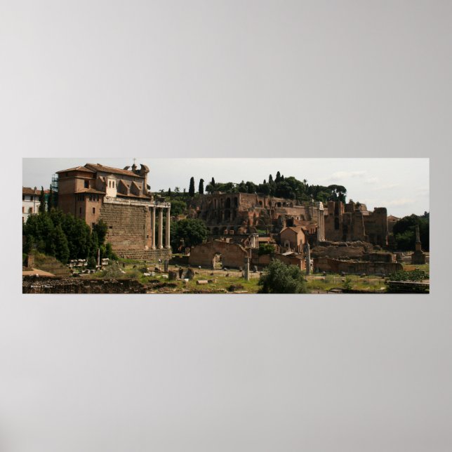 Roman Forum Panorama Poster (Front)