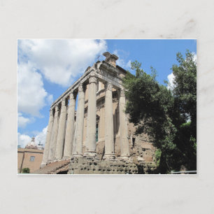 Roman Forum - Temple of Antoninus Postcard
