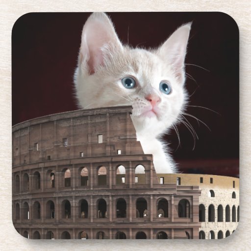 roman kitty Beverage Coaster - 21.10 roman kitty Beverage Coaster