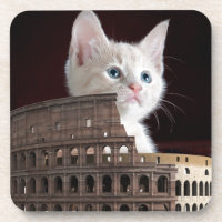 roman kitty