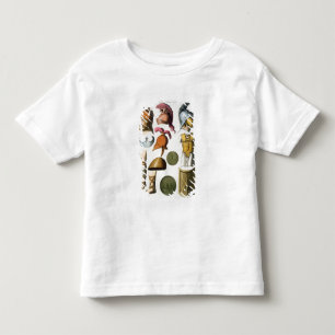 Roman military equipment, from 'Le Costume Ancien Toddler T-Shirt