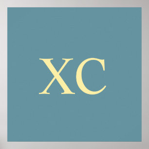 Roman Numeral 90 Poster