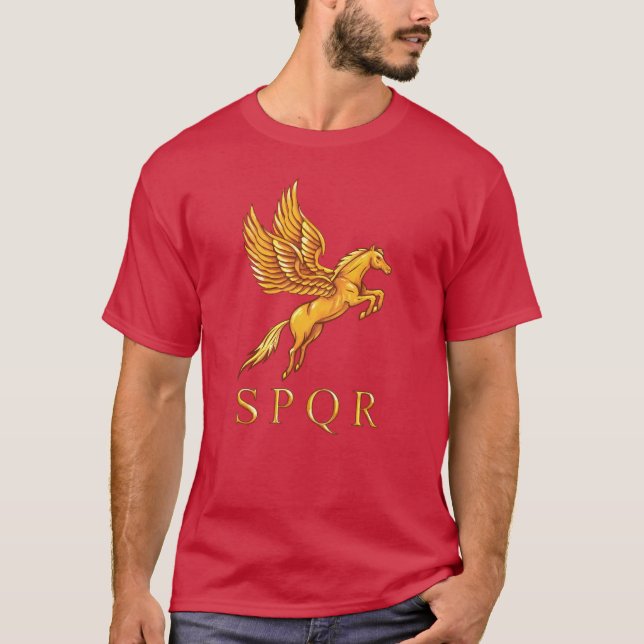Roman Pegasus Graphic T-Shirt (Front)