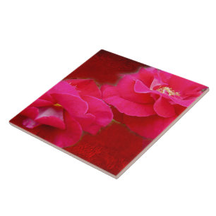 Romance and Red Roses Tile