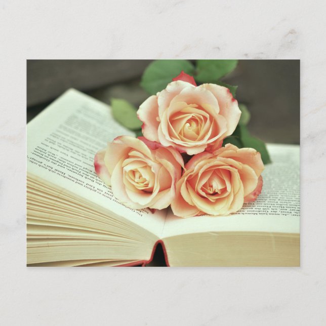Romance Book Postcard, Book Postcard (Front)