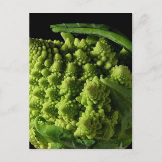 Romanesco Broccoli Fractals Postcard